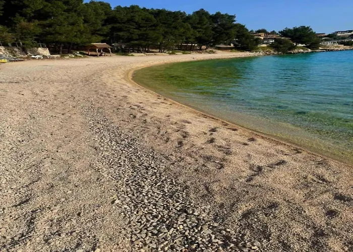 Mobile In With Garden 別荘